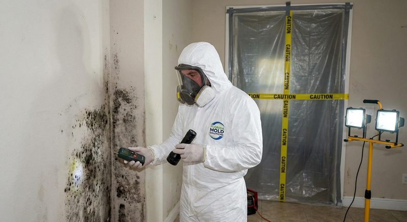 Professional mold remediation specialist inspecting mold in a Florida home